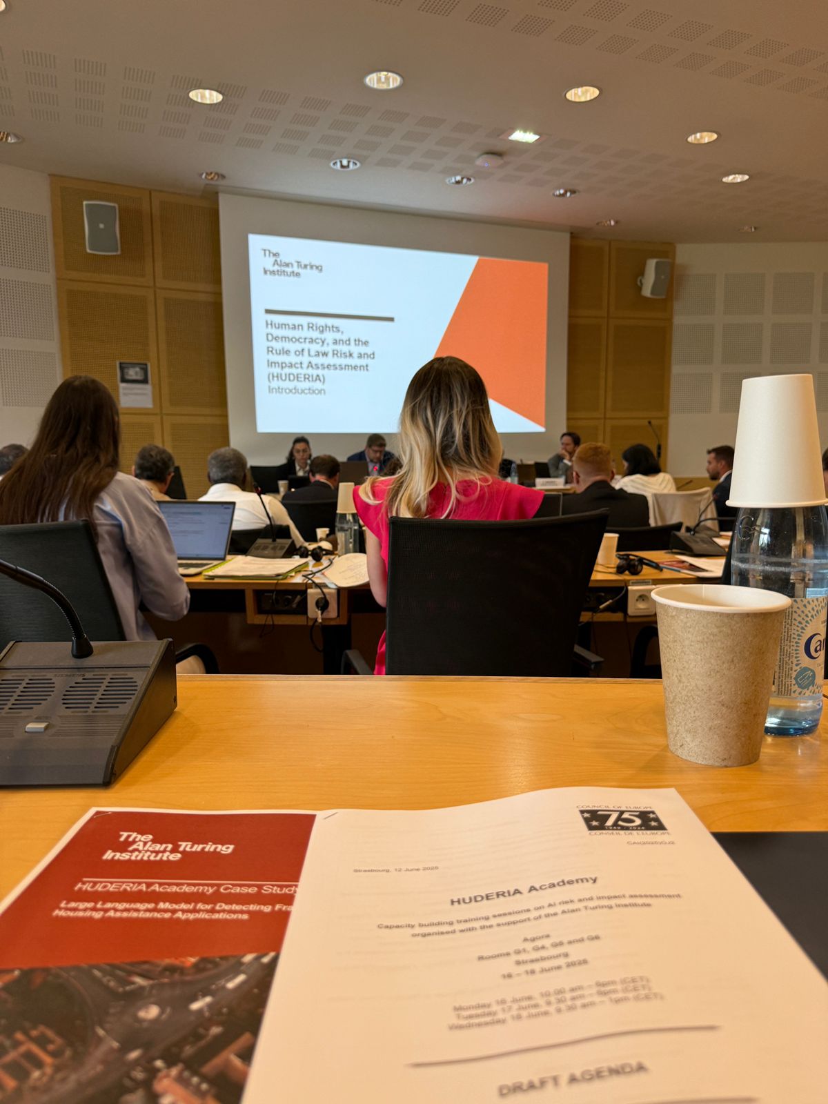 Exploring AI Risk Assessment at the Council of Europe