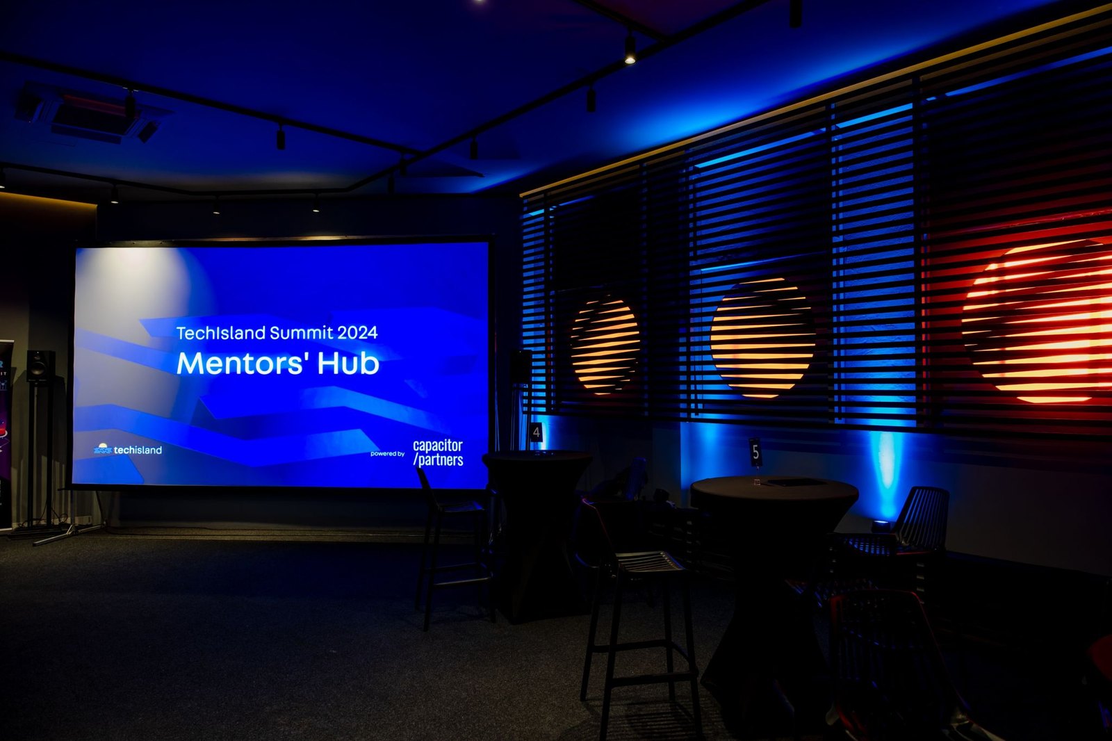 TechIsland Summit 2024 - Mentors' Hub powered by Capacitor Partners