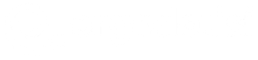 Ergodotisi